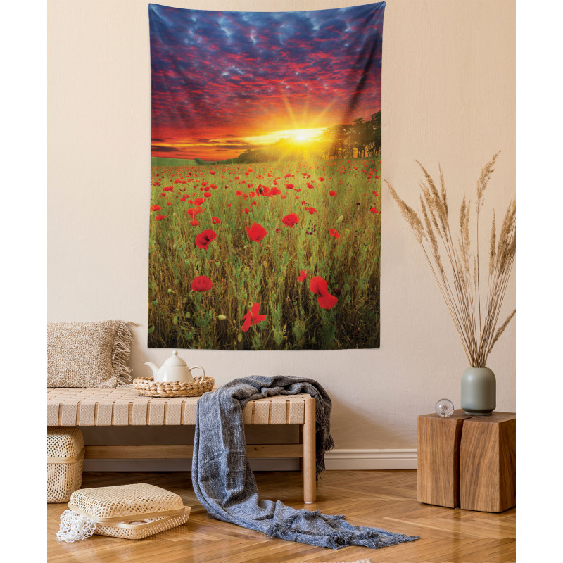 Meadow Poppies Sky Tapestry