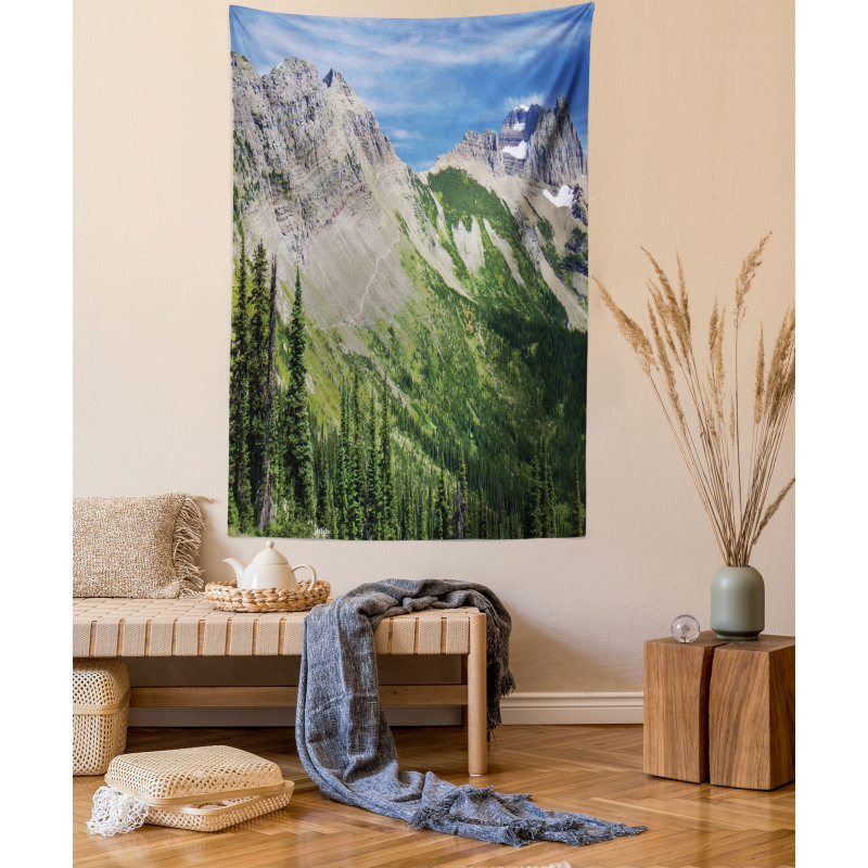 High Mountains and Forest Tapestry