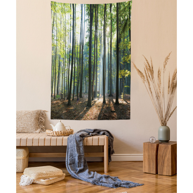 Sunbeams Serene Morning Tapestry