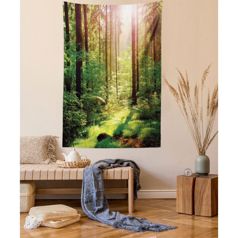 Sunset Moss Woods Trees Tapestry