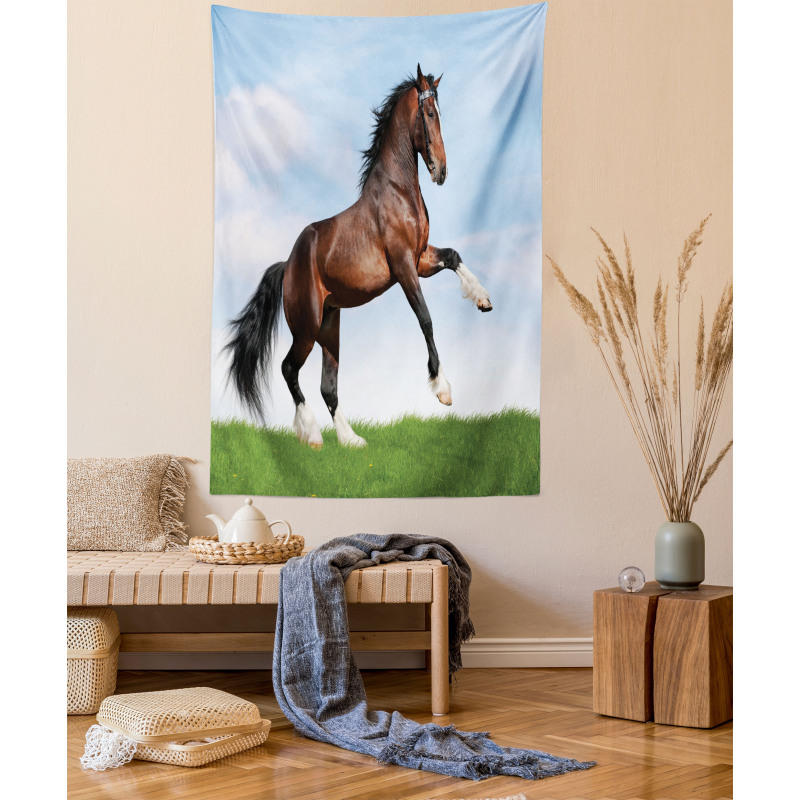 Horse Pacing on Grass Tapestry