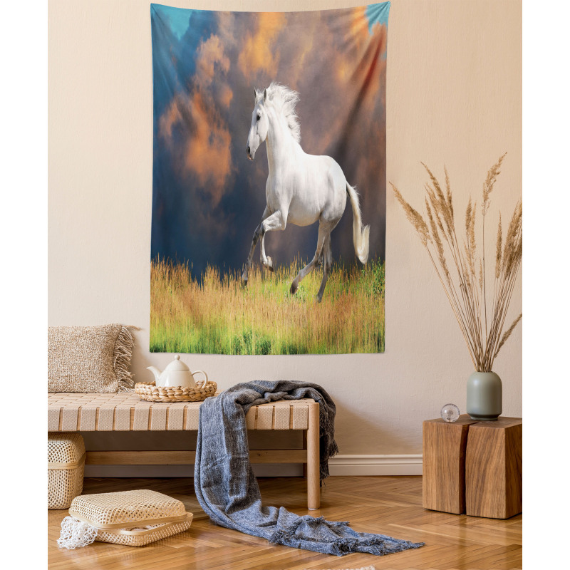 Andalusian Horse Dusk Tapestry