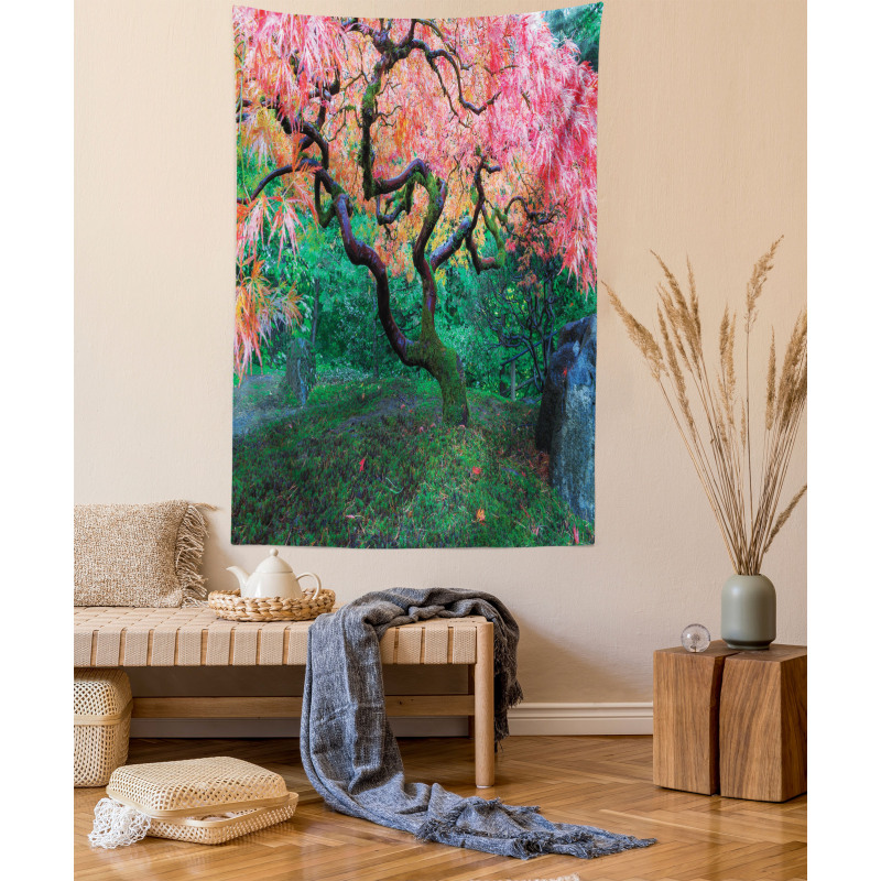 Red Leaf Maple in Garden Tapestry