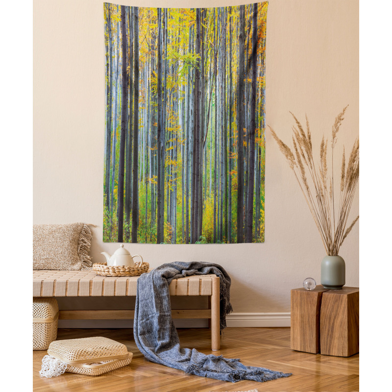 Autumn Season Beech Forest Tapestry