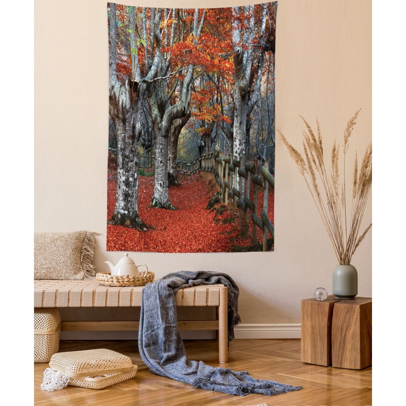 Beech Forest Autumn Tapestry