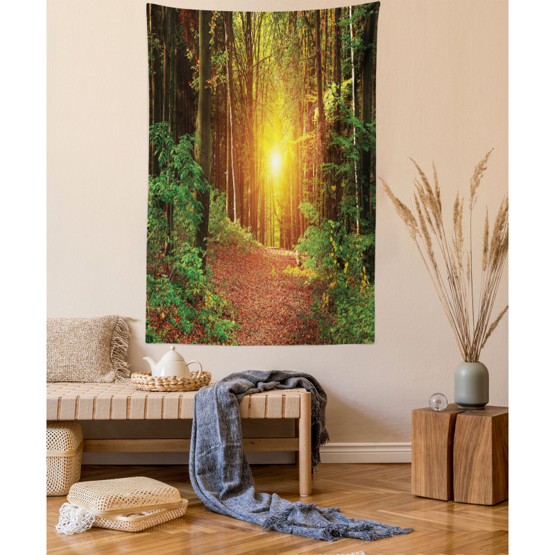 Pathway to Timberland Tapestry