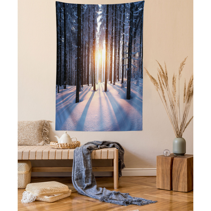 Sunset at Wintertime Tapestry