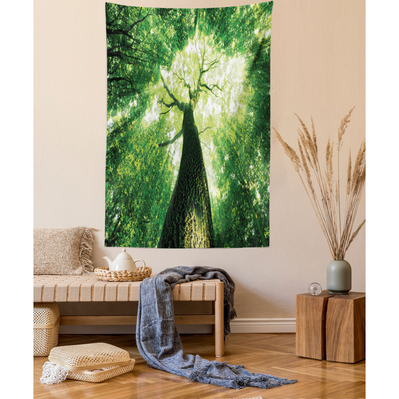 Summer Rays in Wild Tapestry