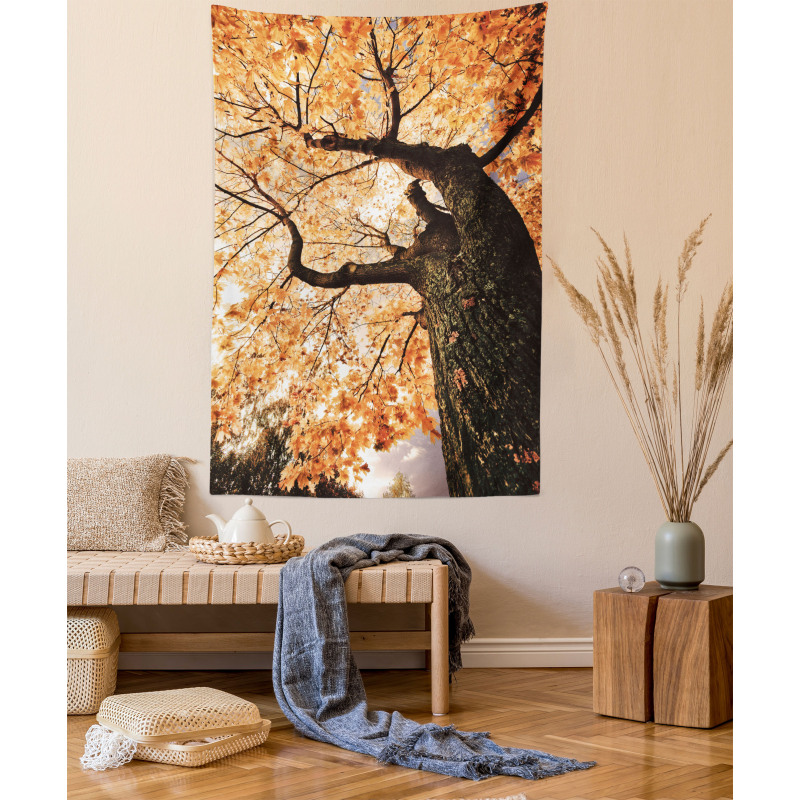 Old Tree Botany Wood Tapestry