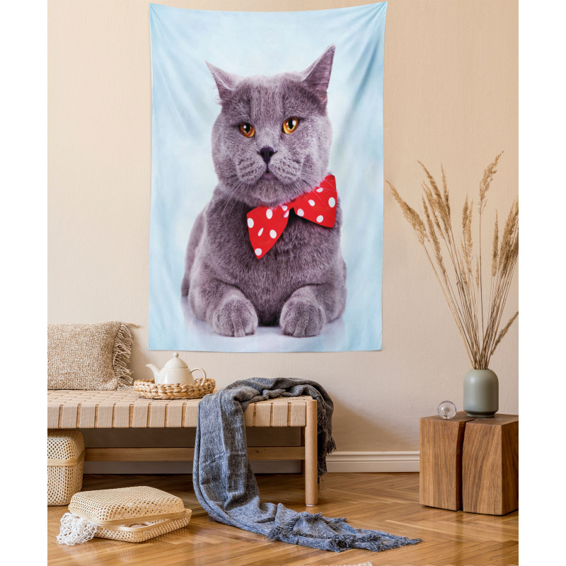 Grey Scottish Fold Theme Tapestry