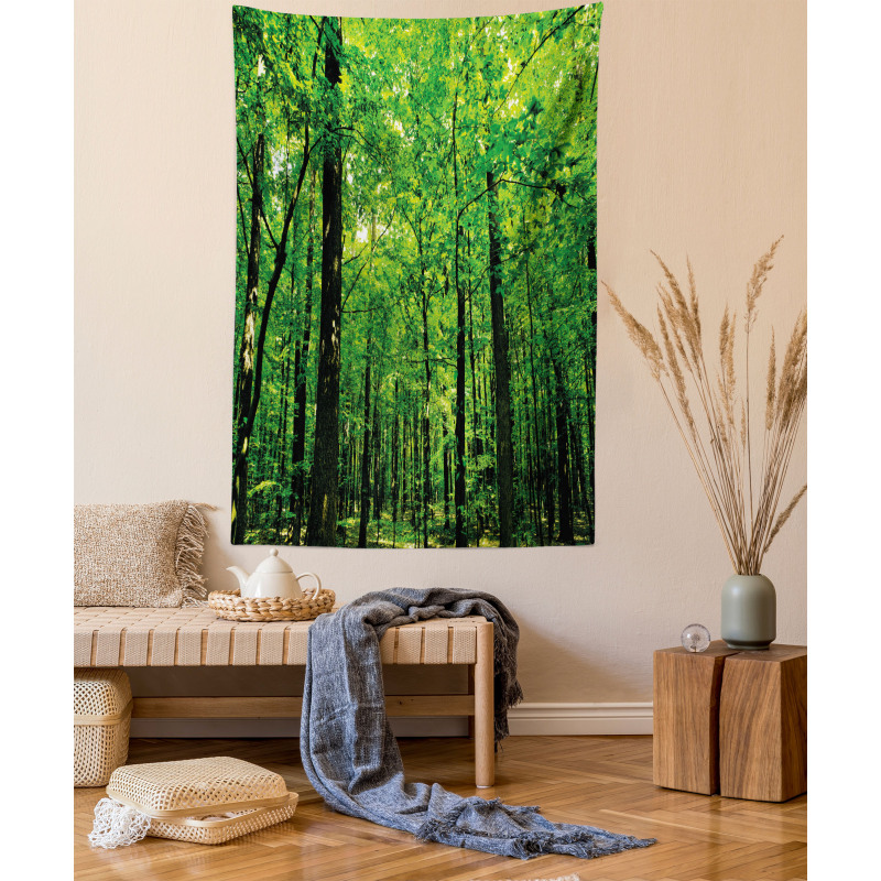 Woodland Tree Forest Sun Tapestry