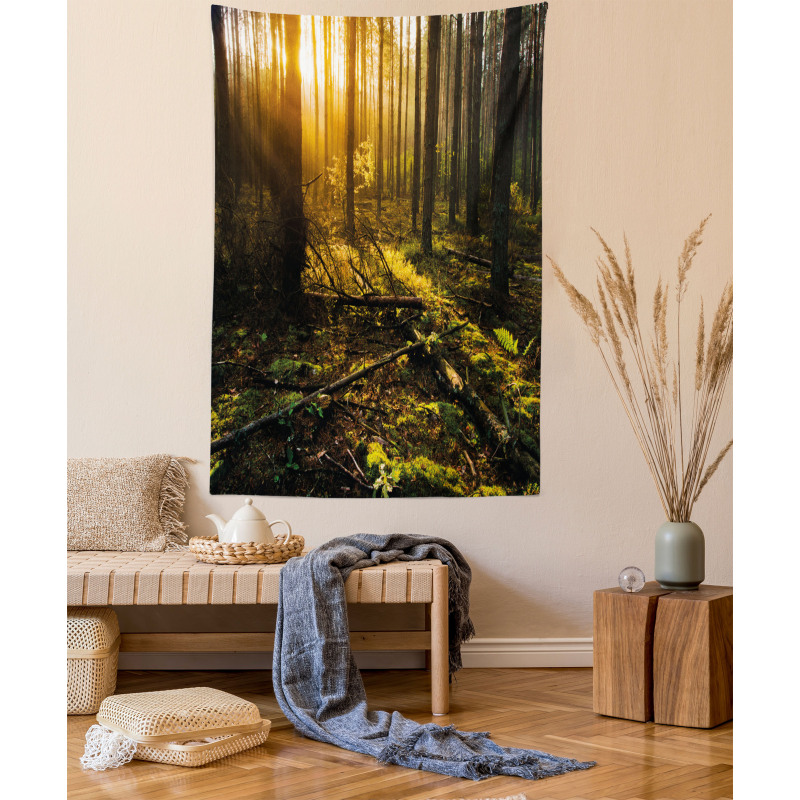 Misty Morning Sun Rays Tapestry