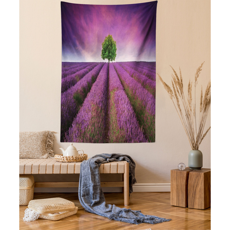 Lavender Fields and Tree Tapestry