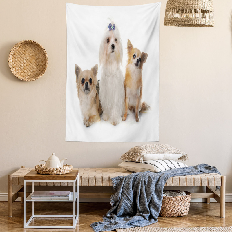 Chihuahua and Maltese Dogs Tapestry