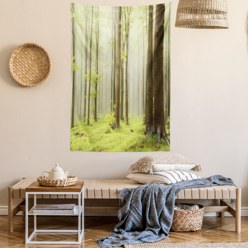 Misty Beech Forest Photo Tapestry