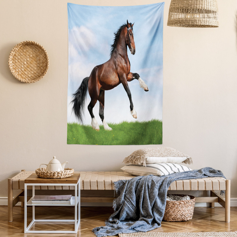 Horse Pacing on Grass Tapestry