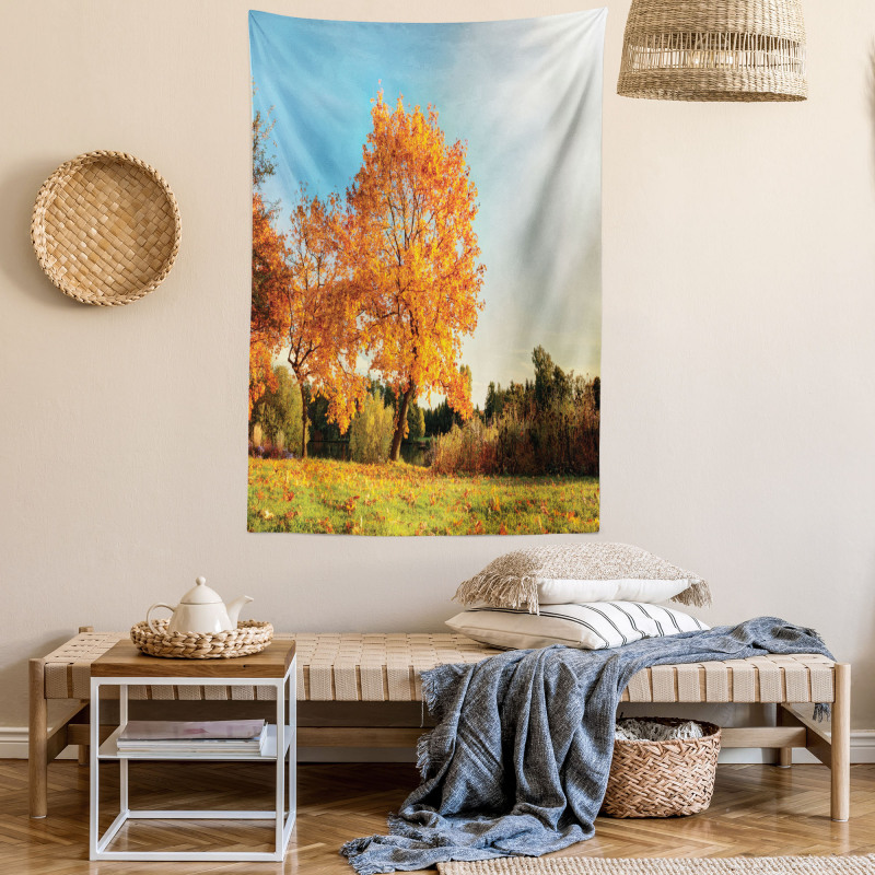 Maple Tree in Autumn Tapestry