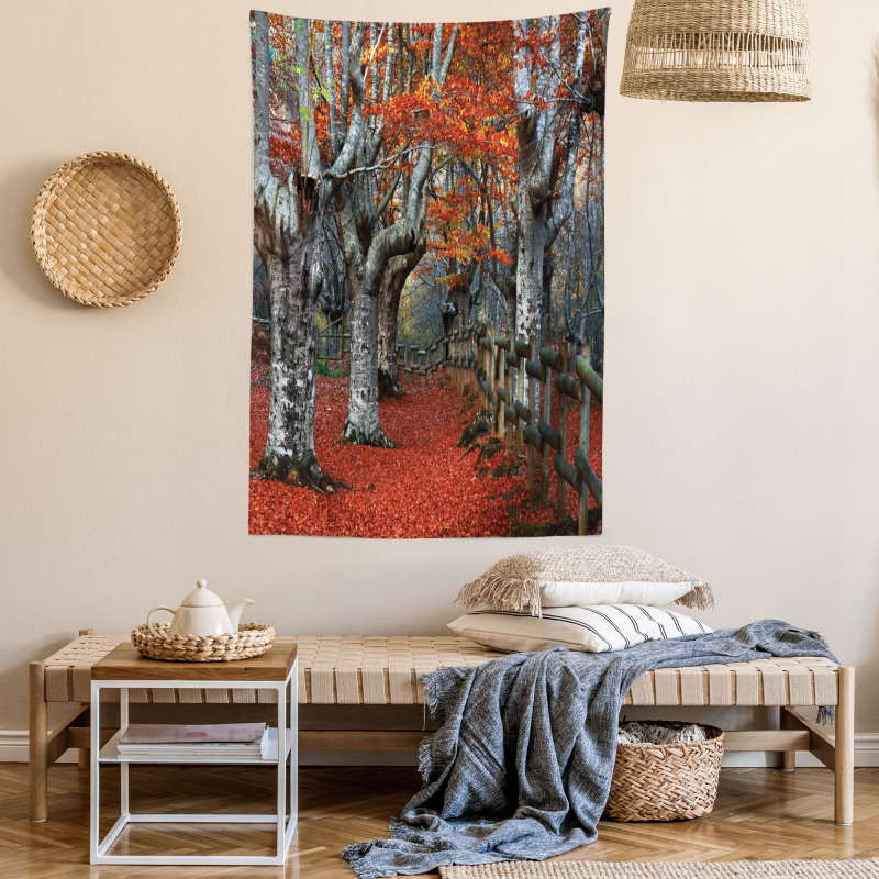 Beech Forest Autumn Tapestry