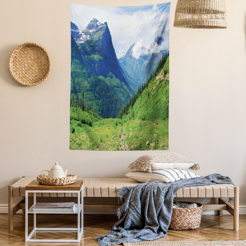 Summer Cloudy Peaks and Grass Tapestry