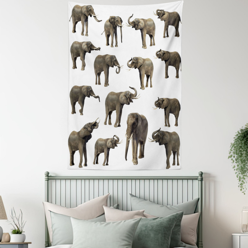 Elephants Tusk Ear Tapestry