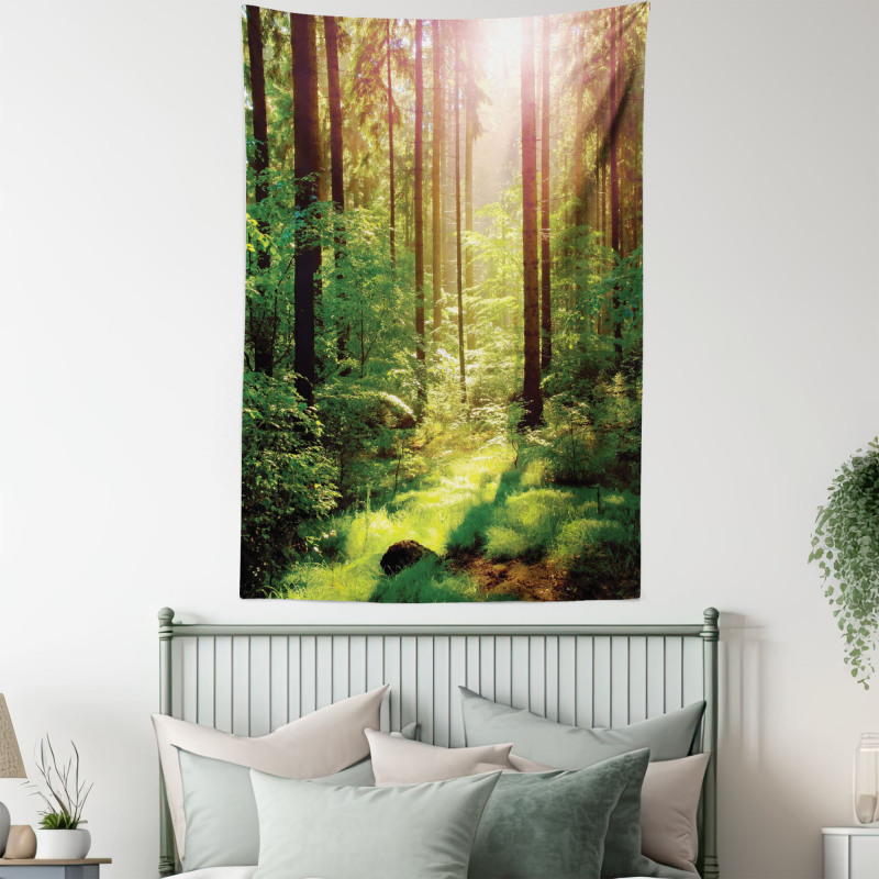 Sunset Moss Woods Trees Tapestry