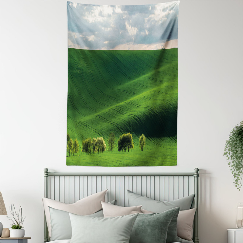 Cloudy Meadow Hills Tapestry