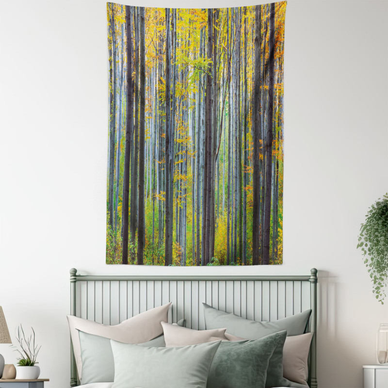 Autumn Season Beech Forest Tapestry