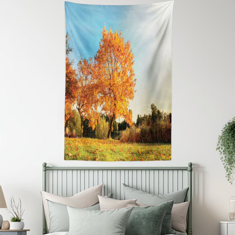 Maple Tree in Autumn Tapestry