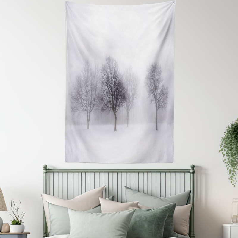 Misty Winter Scenery Tapestry