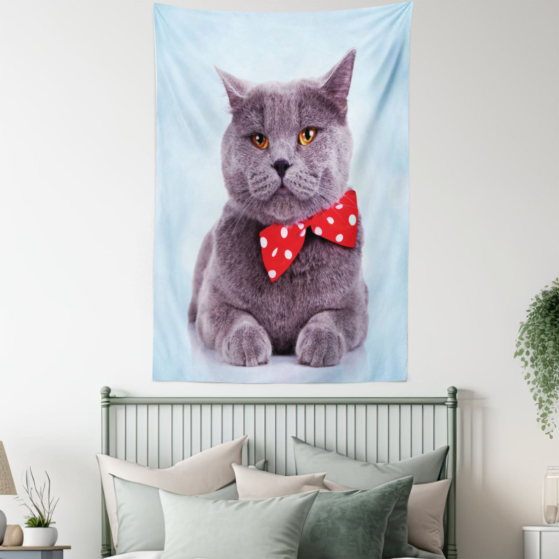 Grey Scottish Fold Theme Tapestry