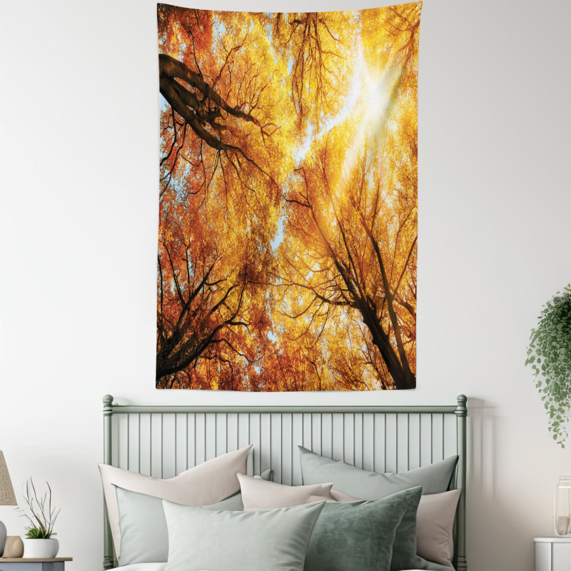 Autumn Sunbeams Forest Tapestry