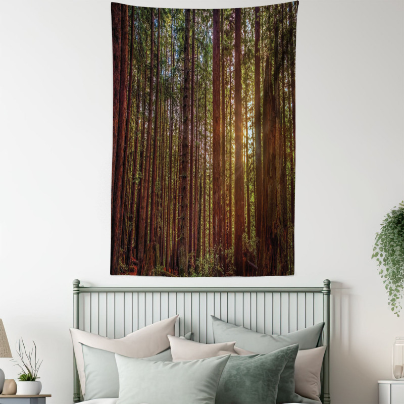Redwood Forest Park USA Tapestry