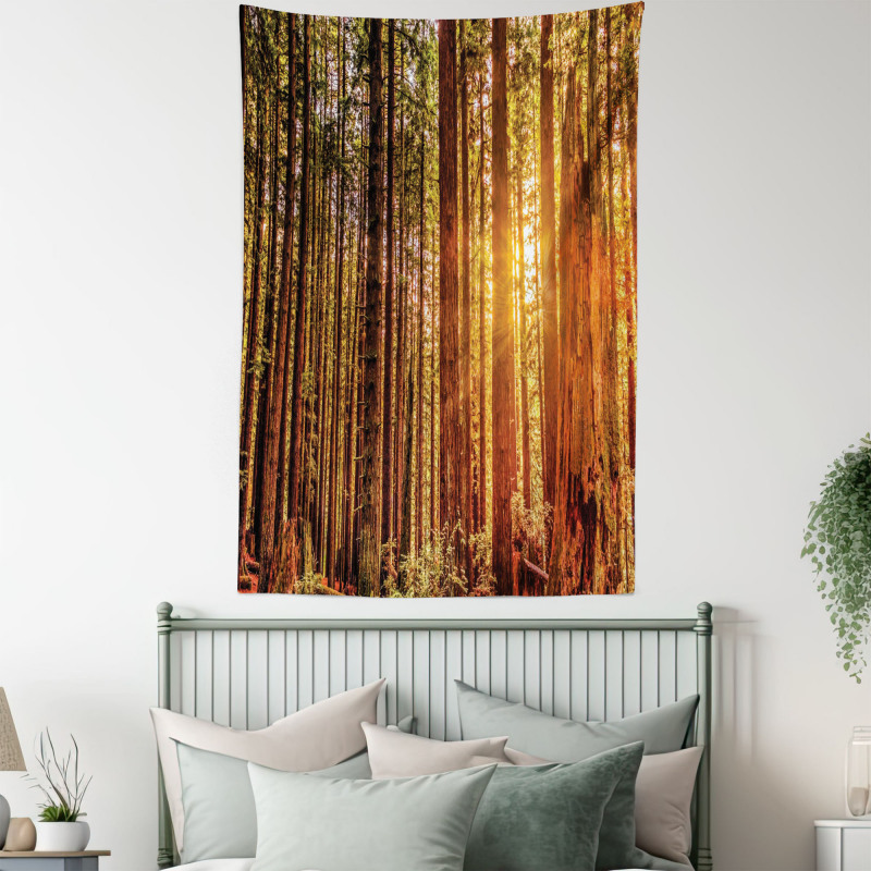 Redwoods Forestry Tapestry