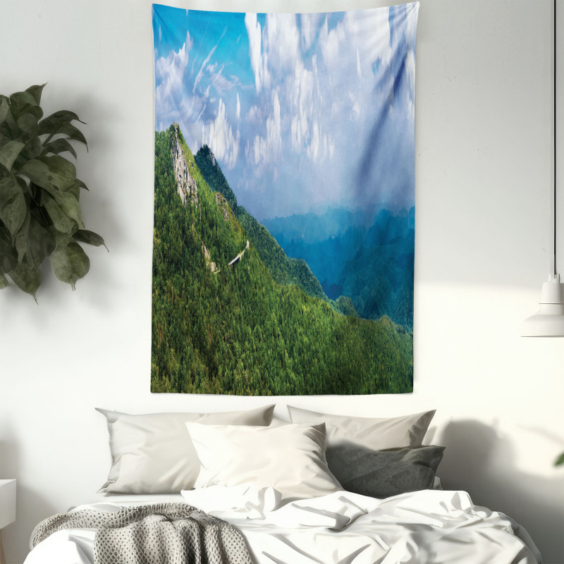 Blue Ridge Panorama Tapestry