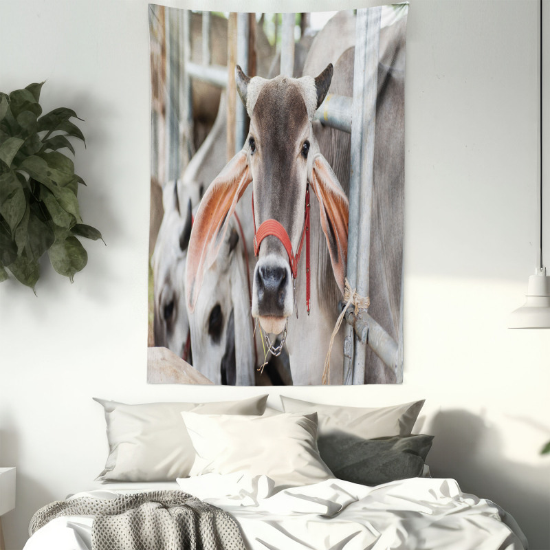 Cow Eating Grass Tapestry