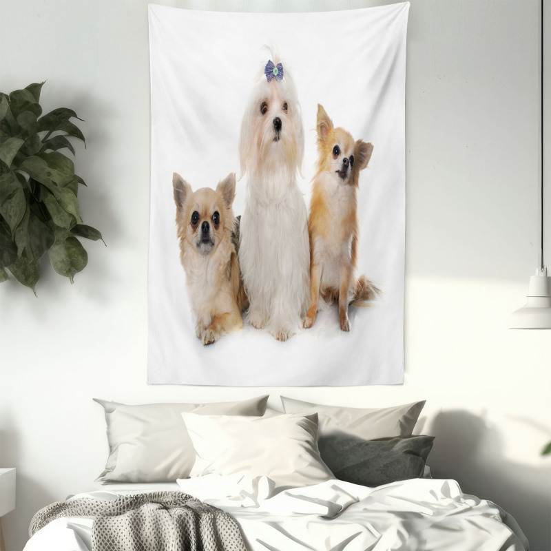 Chihuahua and Maltese Dogs Tapestry