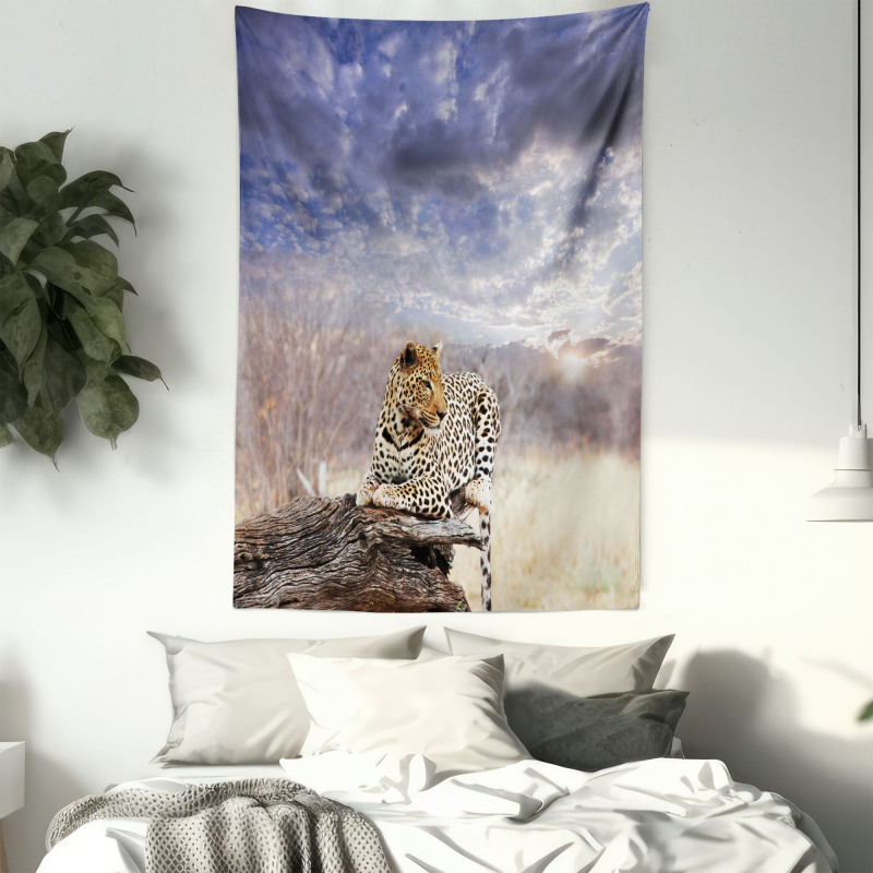 Cloudscape Sunset Scene Tapestry