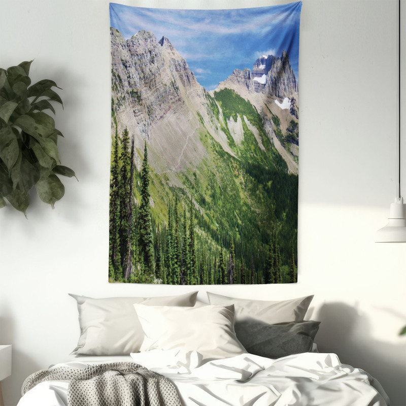 High Mountains and Forest Tapestry