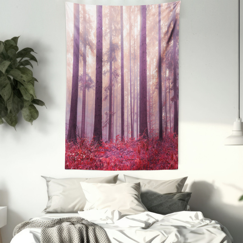 Trees Foggy Sunlight Tapestry