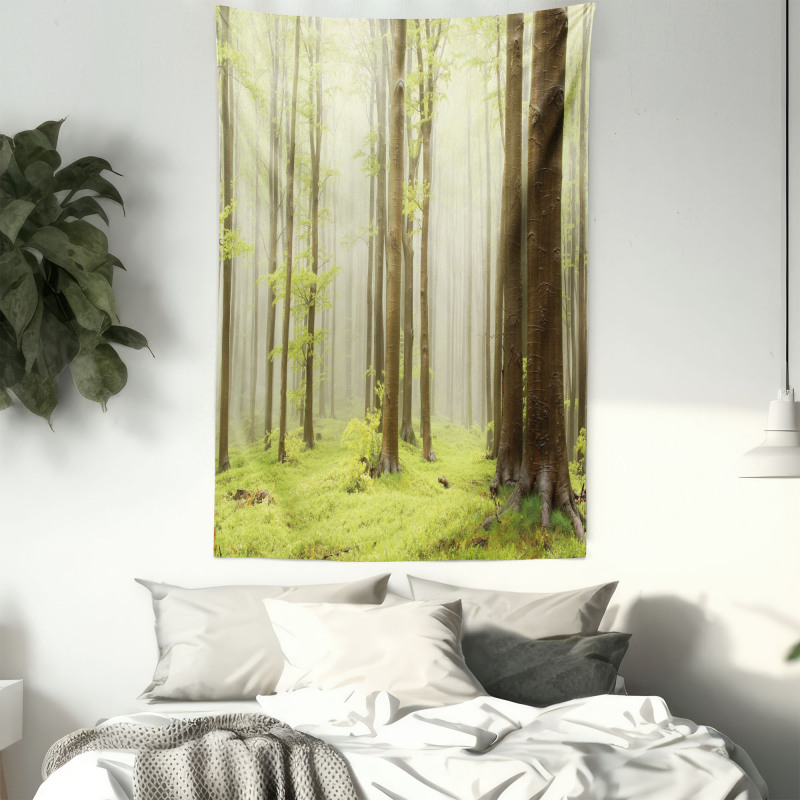 Misty Beech Forest Photo Tapestry