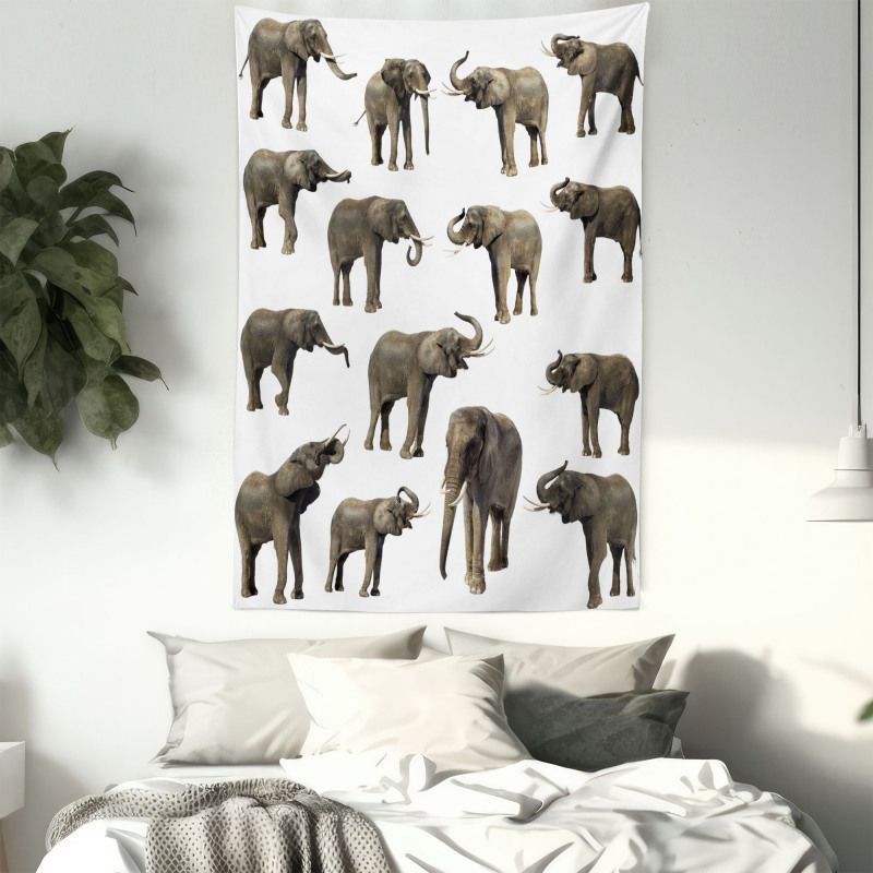 Elephants Tusk Ear Tapestry