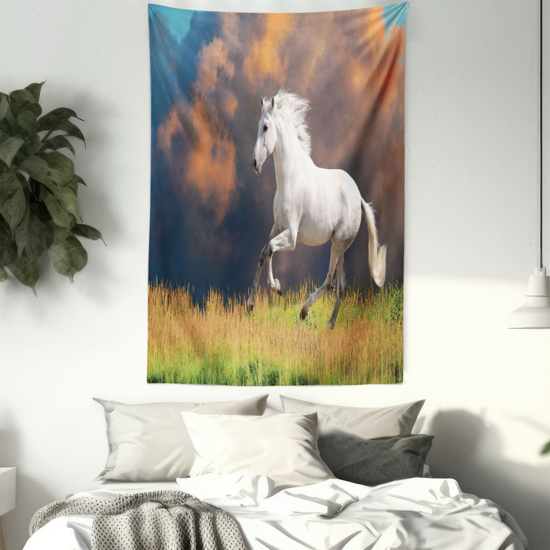 Andalusian Horse Dusk Tapestry