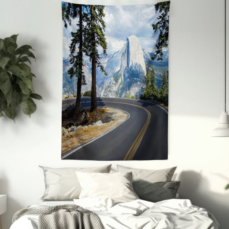 Mountain Road Landscape Tapestry