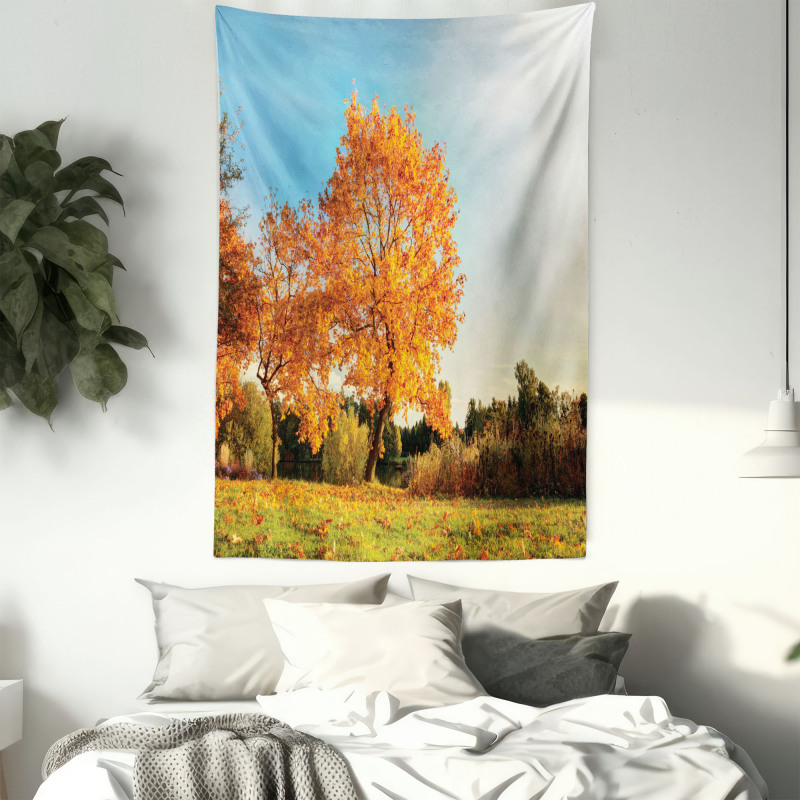 Maple Tree in Autumn Tapestry