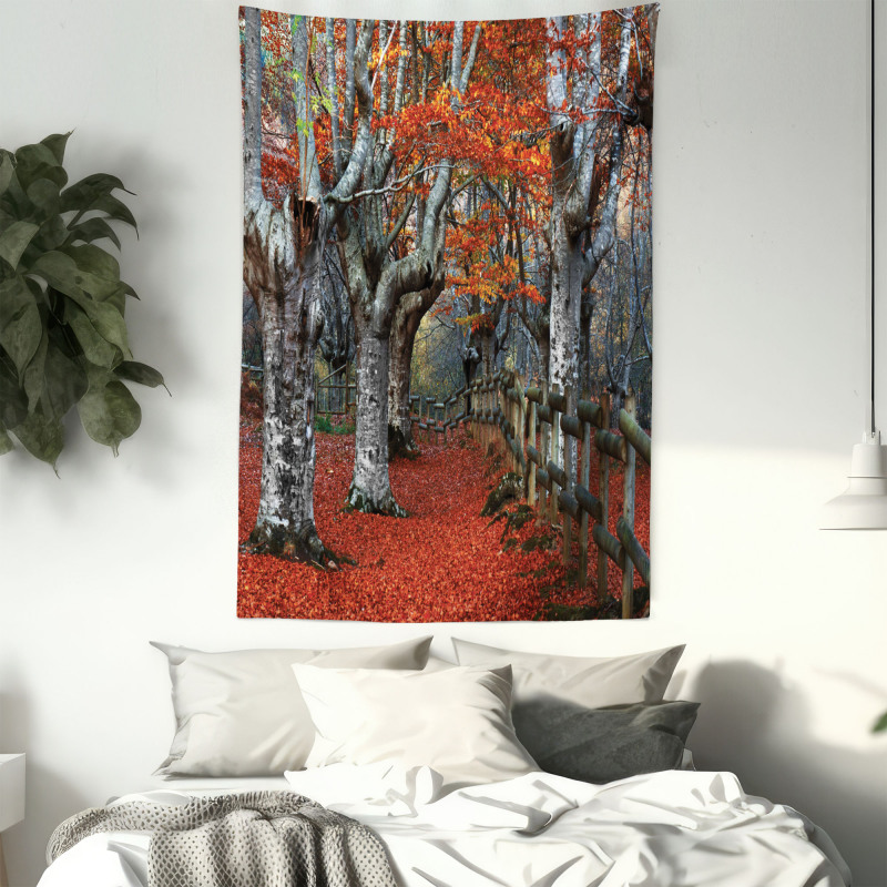 Beech Forest Autumn Tapestry