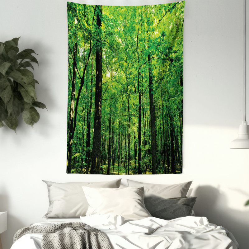 Woodland Tree Forest Sun Tapestry