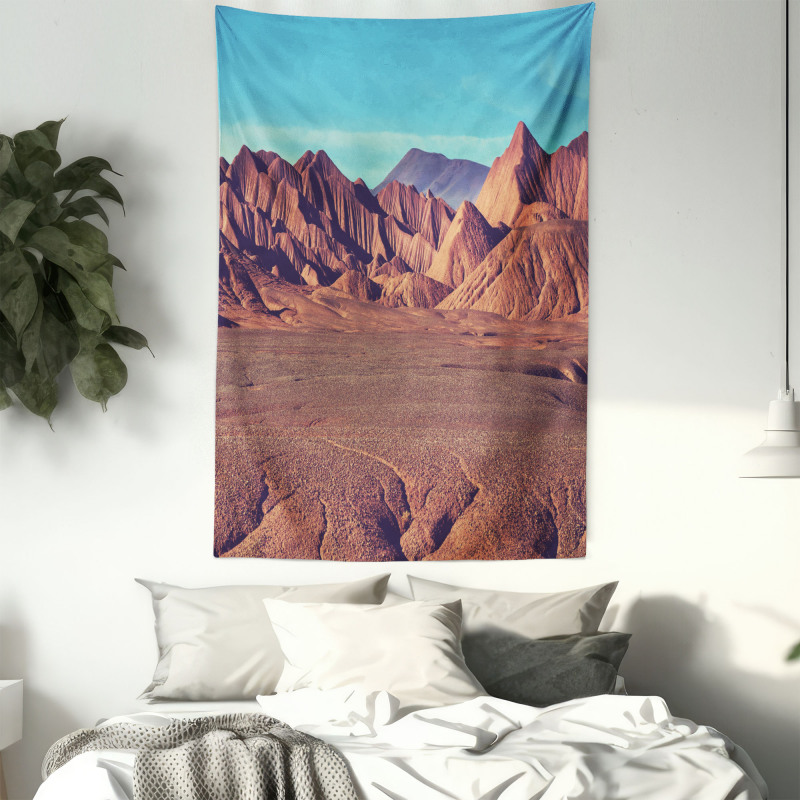 Mountain Argentina Desert Tapestry