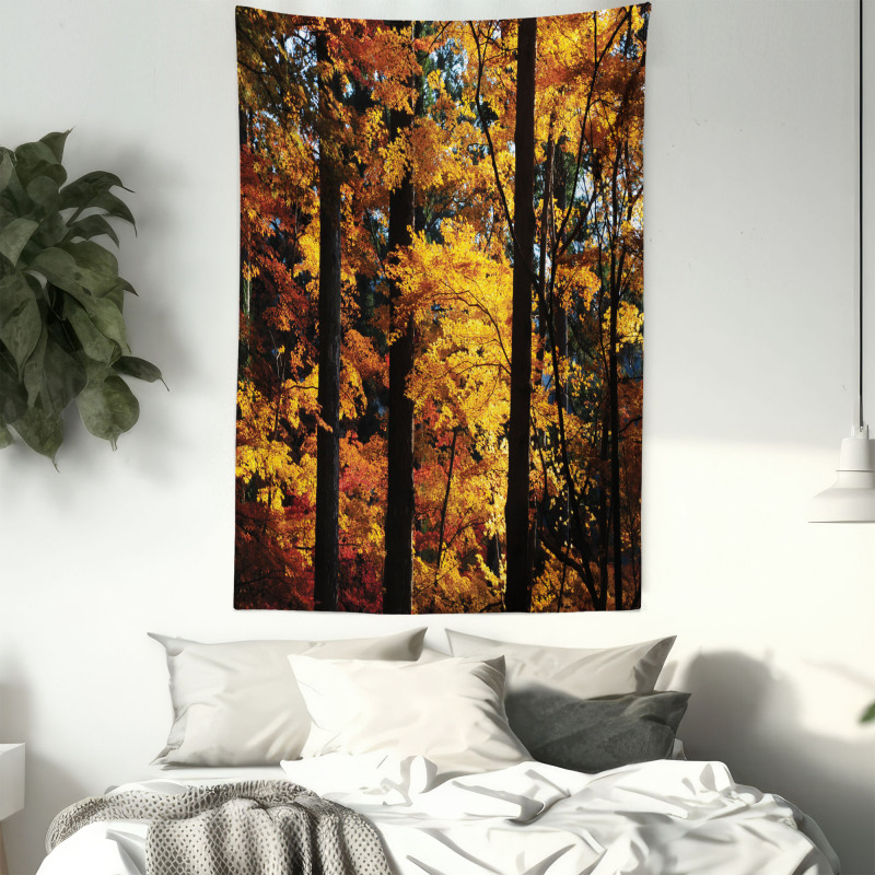 Fall Tranquil Countryside Tapestry
