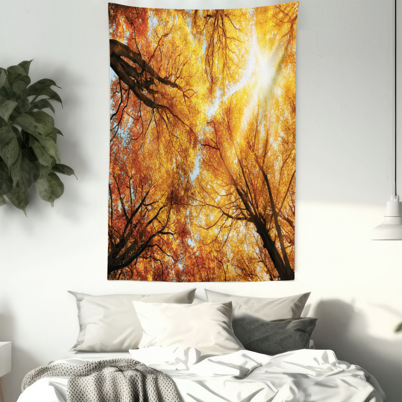 Autumn Sunbeams Forest Tapestry