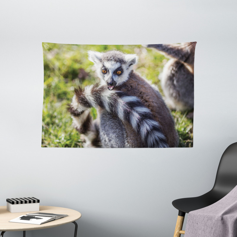 Ring Tailed Funny Expression Wide Tapestry